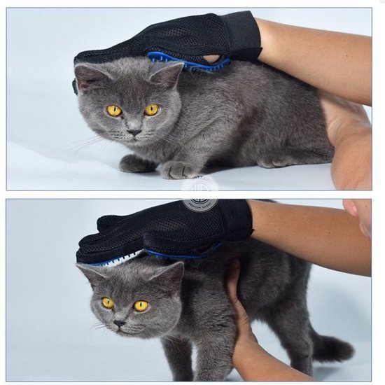 WizBay Premium Select® Grooming Handschoen met 259 Pins - Haarverwijderaar voor alle Huisdieren - Maat Universeel - Blauw