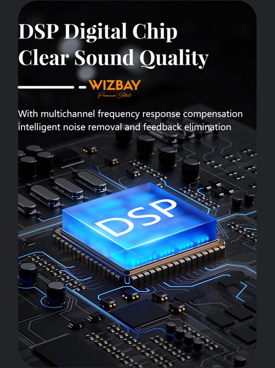 WizBay Premium Select® 2x DSP Mini Digitaal Gehoorapparaat - IHO - Noise Reduction - Oplaadbare LED Box - FAGG Geregistreerd - Zwart